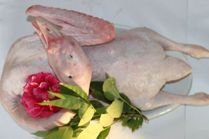 六种白条鹅的美味制作方法